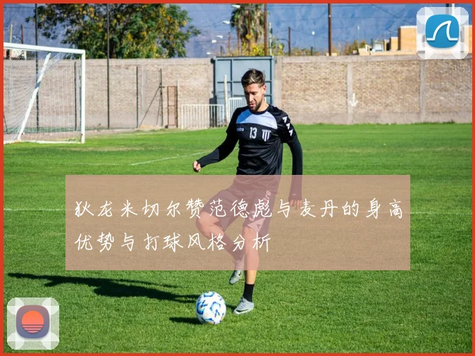 狄龙米切尔赞范德彪与麦丹的身高优势与打球风格分析